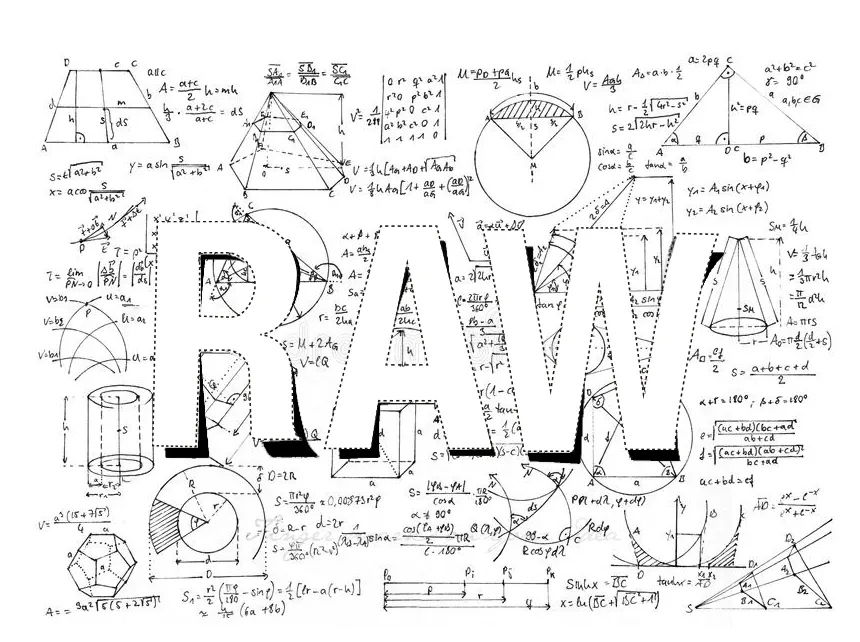 브랜딩의 입문 1단계에서 RAW를 말하는 것은 RAW가 인간의 실재와 기호의 극단에서 서로 브랜딩(융합)되기 때문이다.