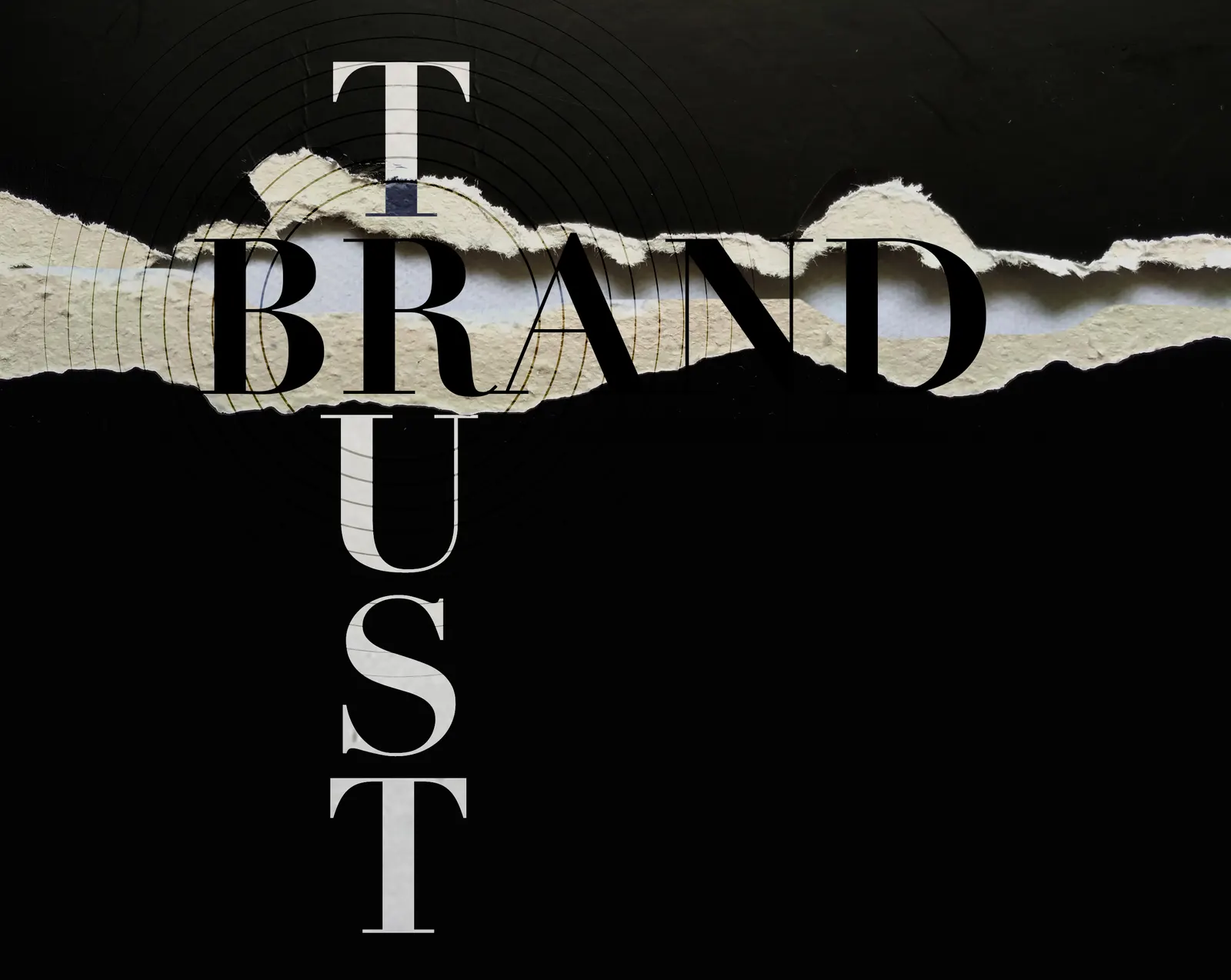 ⓒ brandness.co.kr