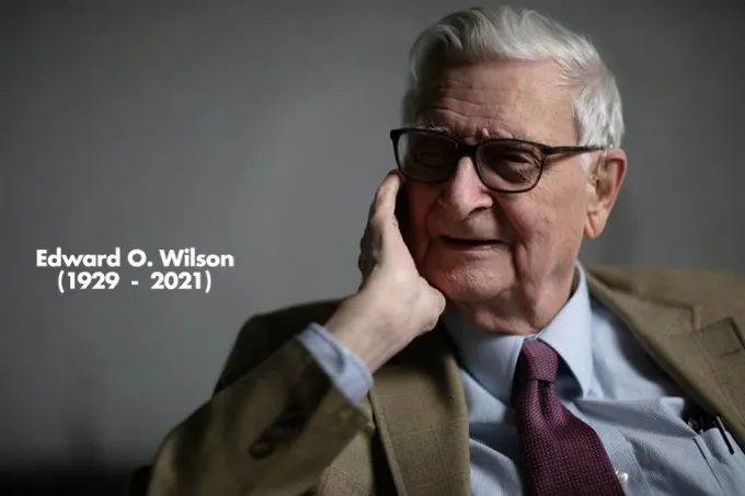 에드워드 윌슨 미국 하버드대 명예교수. 사진:E.O. 윌슨 생물다양성재단(E.O. Wilson Biodiversity Foundation)