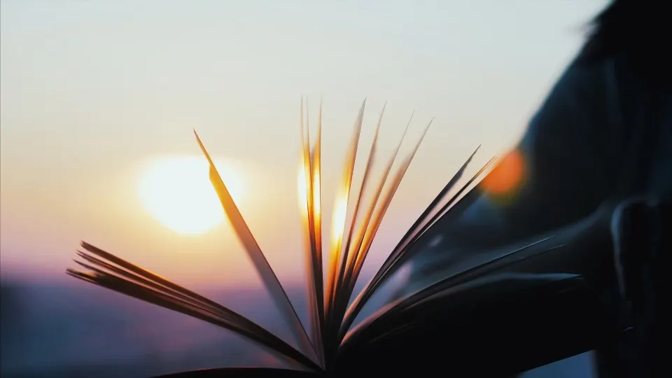 브랜드 안에 궁극의 가치를 구축하려고 하면 소비자들도 기꺼이 당신 브랜드의 소설에 동조하고, 출연을 마다하지 않을 것이다.